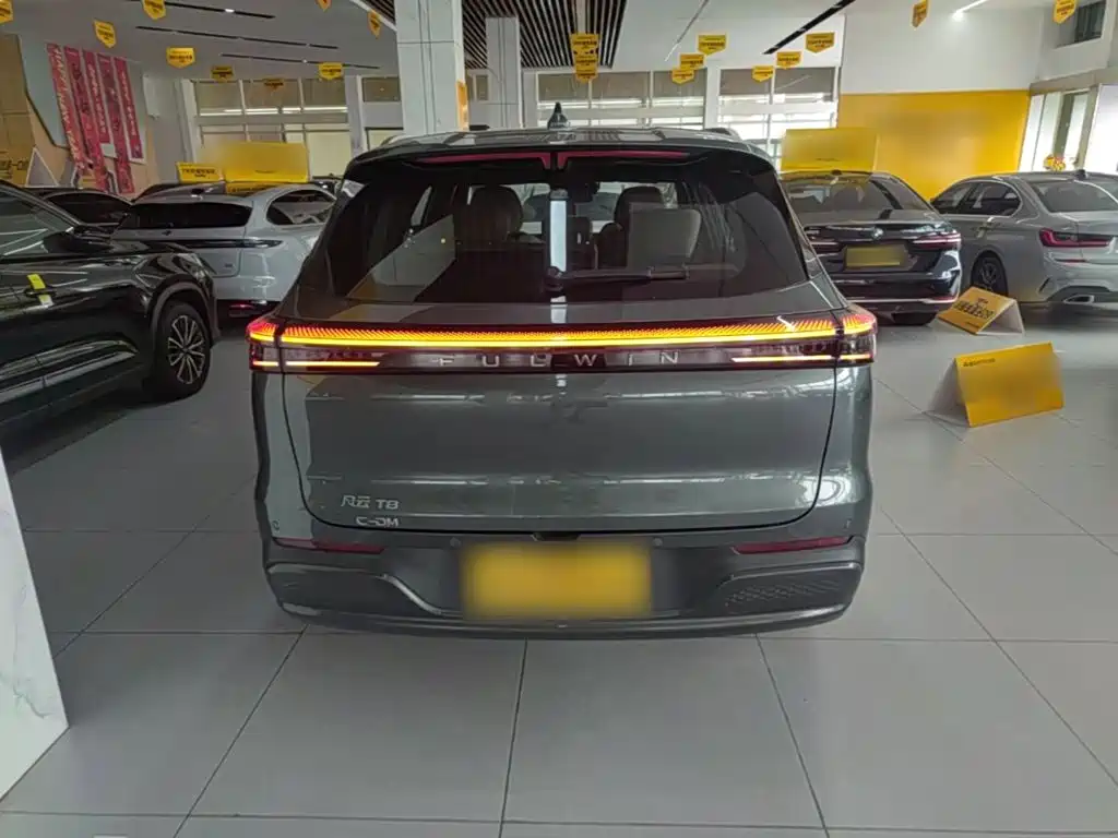 Chery Fengyun Fengyun T8 2025 2025 1.5T 130km Premium Edition 5-Seater
