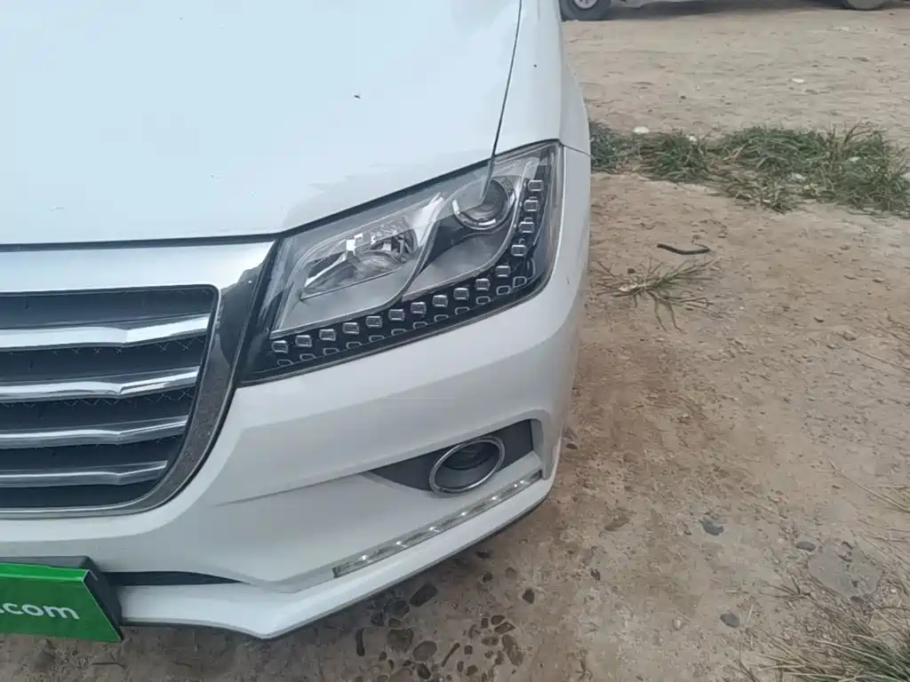 Фото 24 - Haval H2
