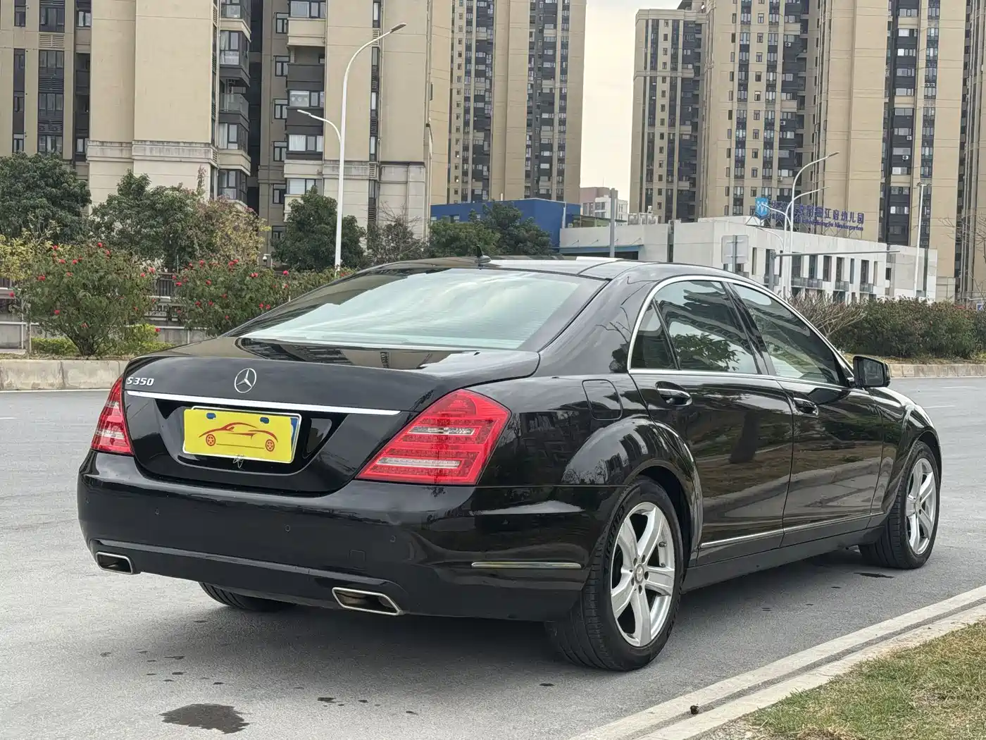 Mercedes-Benz S-Class 2010 S 350 L Luxury фото 3