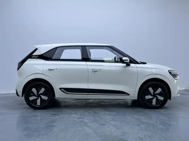 Dongfeng Yipai Nano 01 2026 2026 True Love Edition 330 Pro