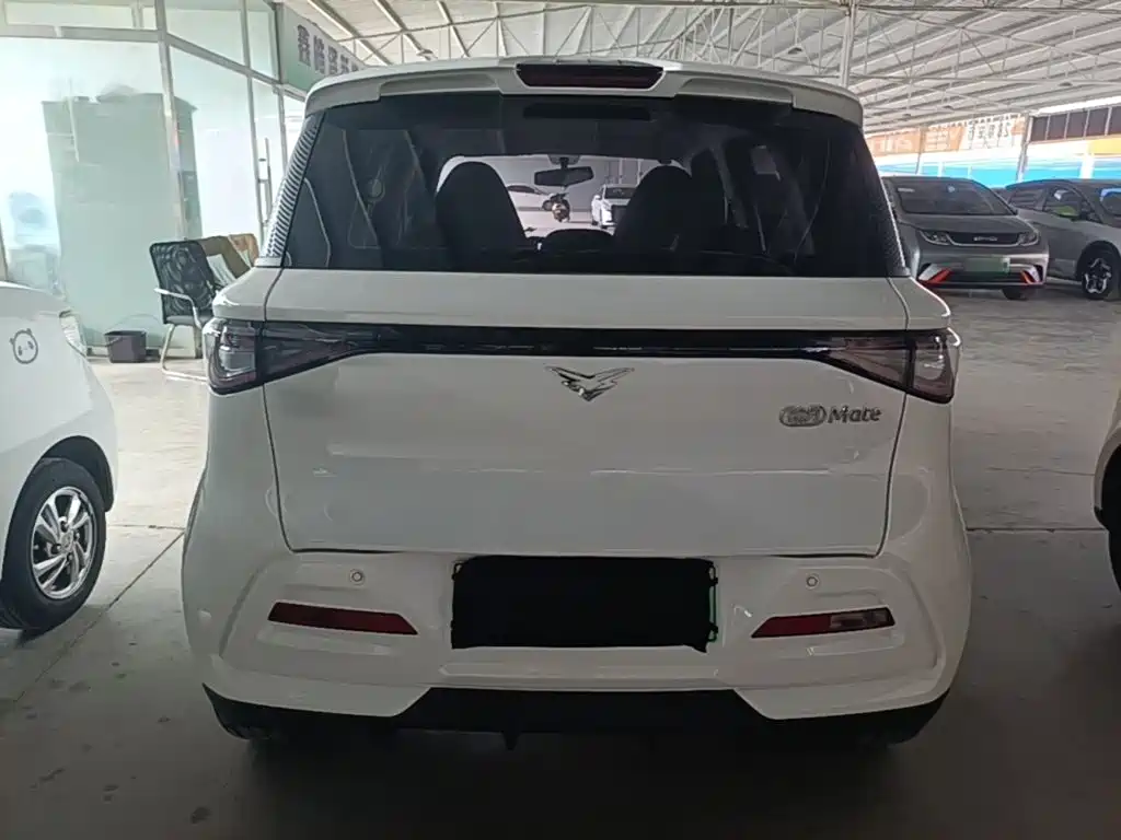 Cowin October 2025 2026 Mate 305km Guoxuan Wave Rider Edition