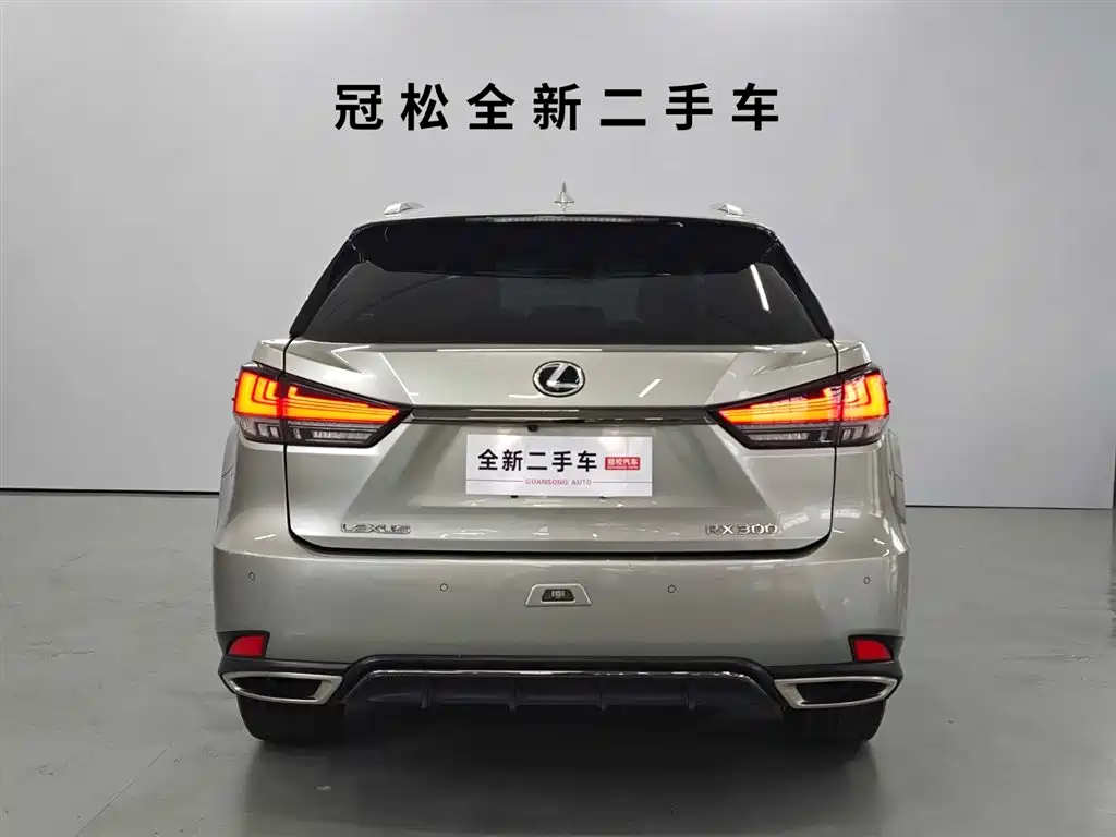 Lexus RX 2020 300 AWD F SPORT (China VI) фото 5