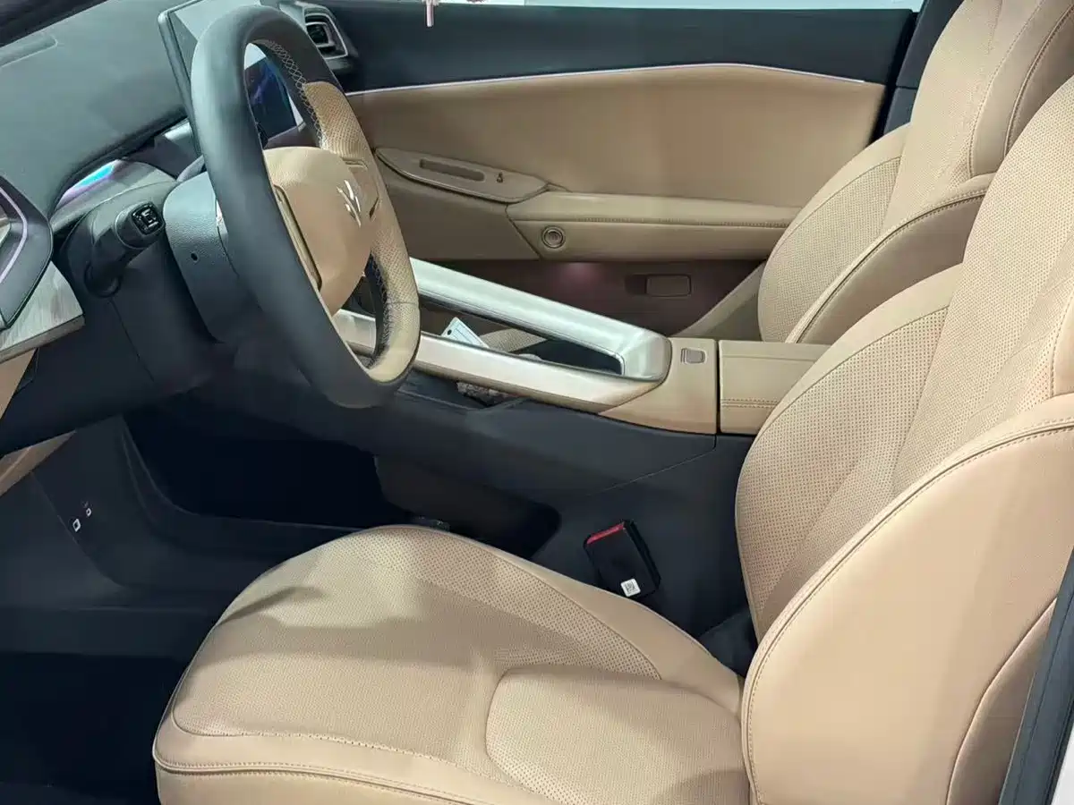 ARCFOX EXTREME FOX POLAR FOX ALPHA S5