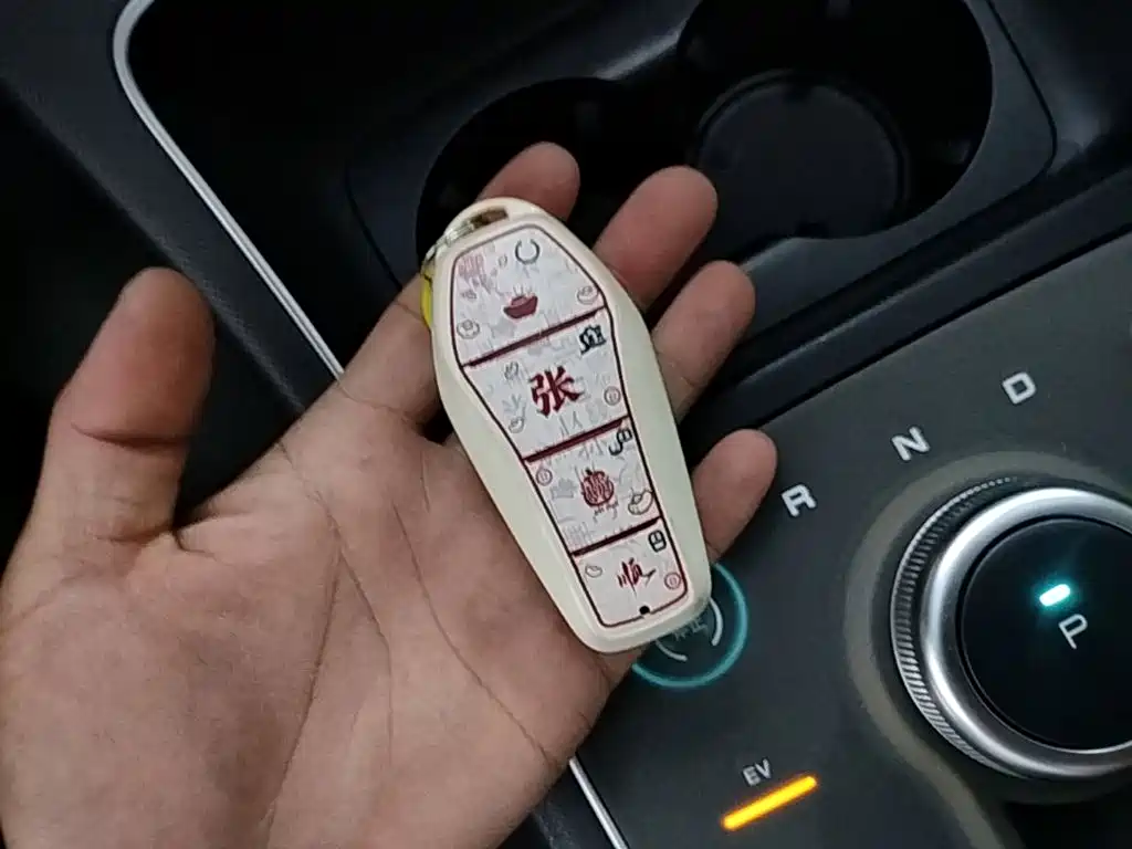 BYD Destroyer 05 2024 2024 Glory Edition DM-i 120KM Luxury