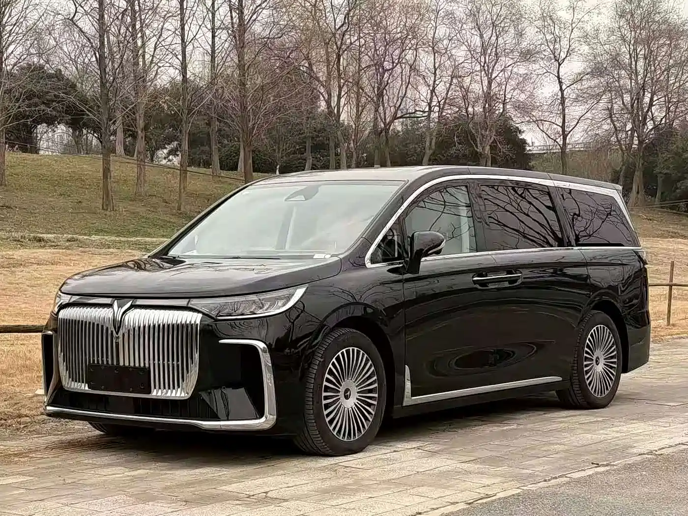 Voyah Dreamer 2025