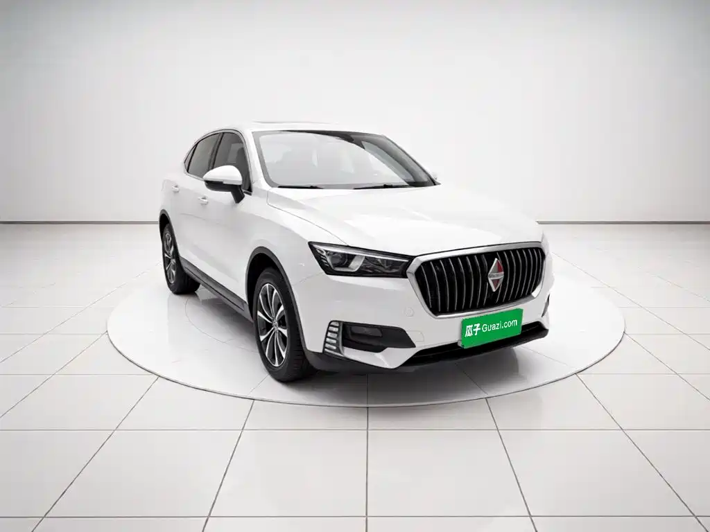 Borgward BX5 2020 2020 20TGDI Automatic 2WD Pioneer Edition