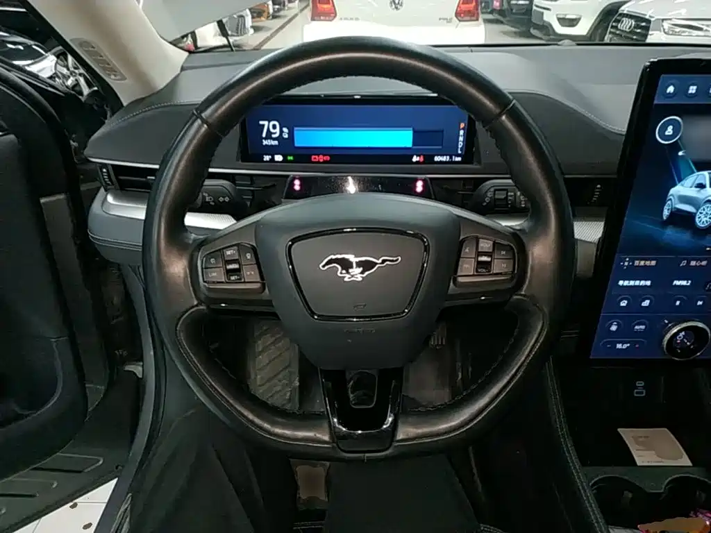 Ford Mustang Mach-E 2022 2021 Leap World RWD (Standard Range)