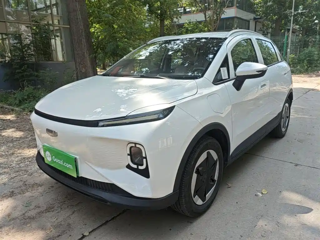 Geely Geometry E Firefly 2024 Model 301km Light Flow