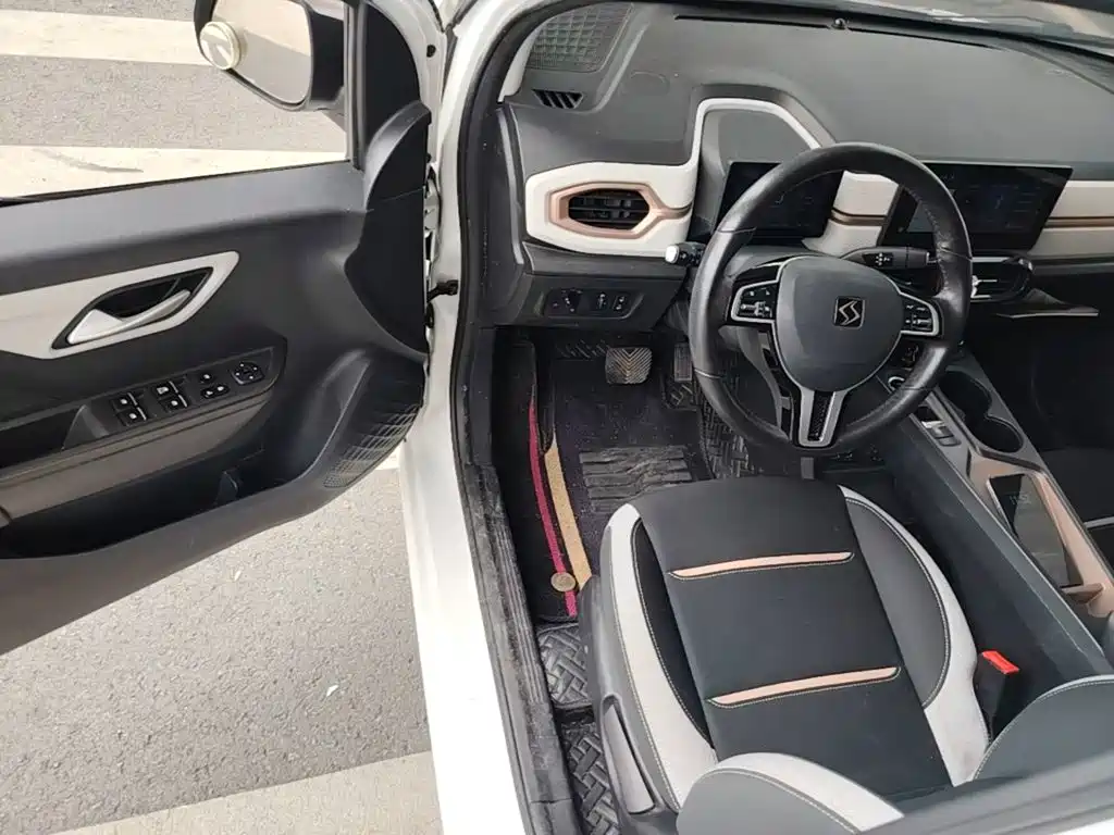 Sehol Flower Fairy 2021 2021 302km Luxury Edition 31.4kWh