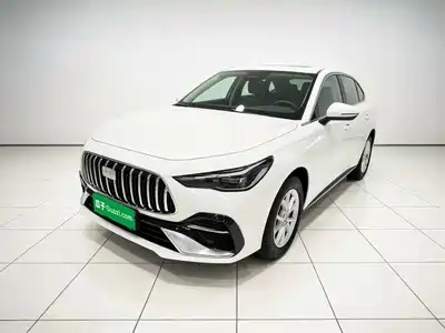Geely Galaxy Starshine 6