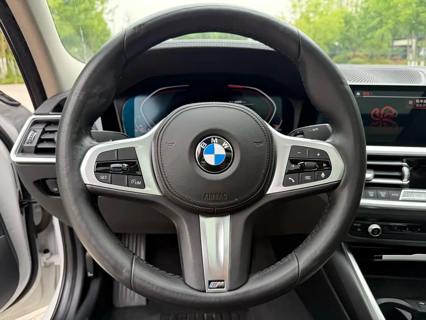 BMW 3 Series 2020 320Li M Sport Package фото 10