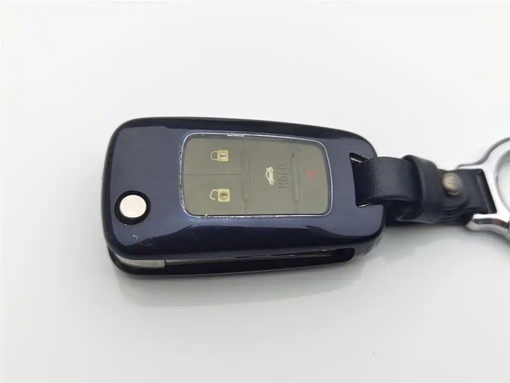 CHEVROLET MAI RUIBAO