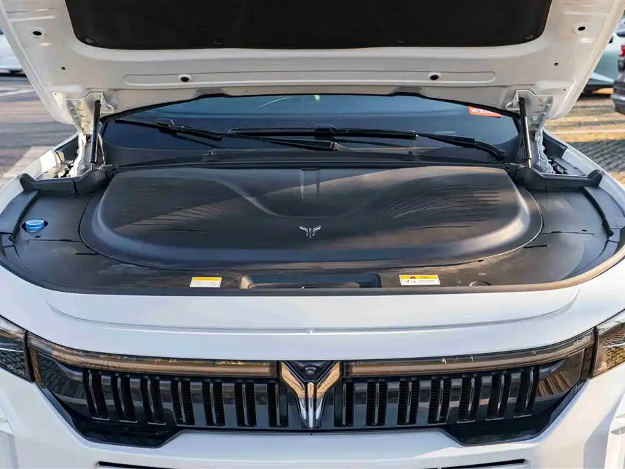 Voyah Auto VOYAH FREE 2024 Ultra Long Range Intelligent Driving Edition фото 15