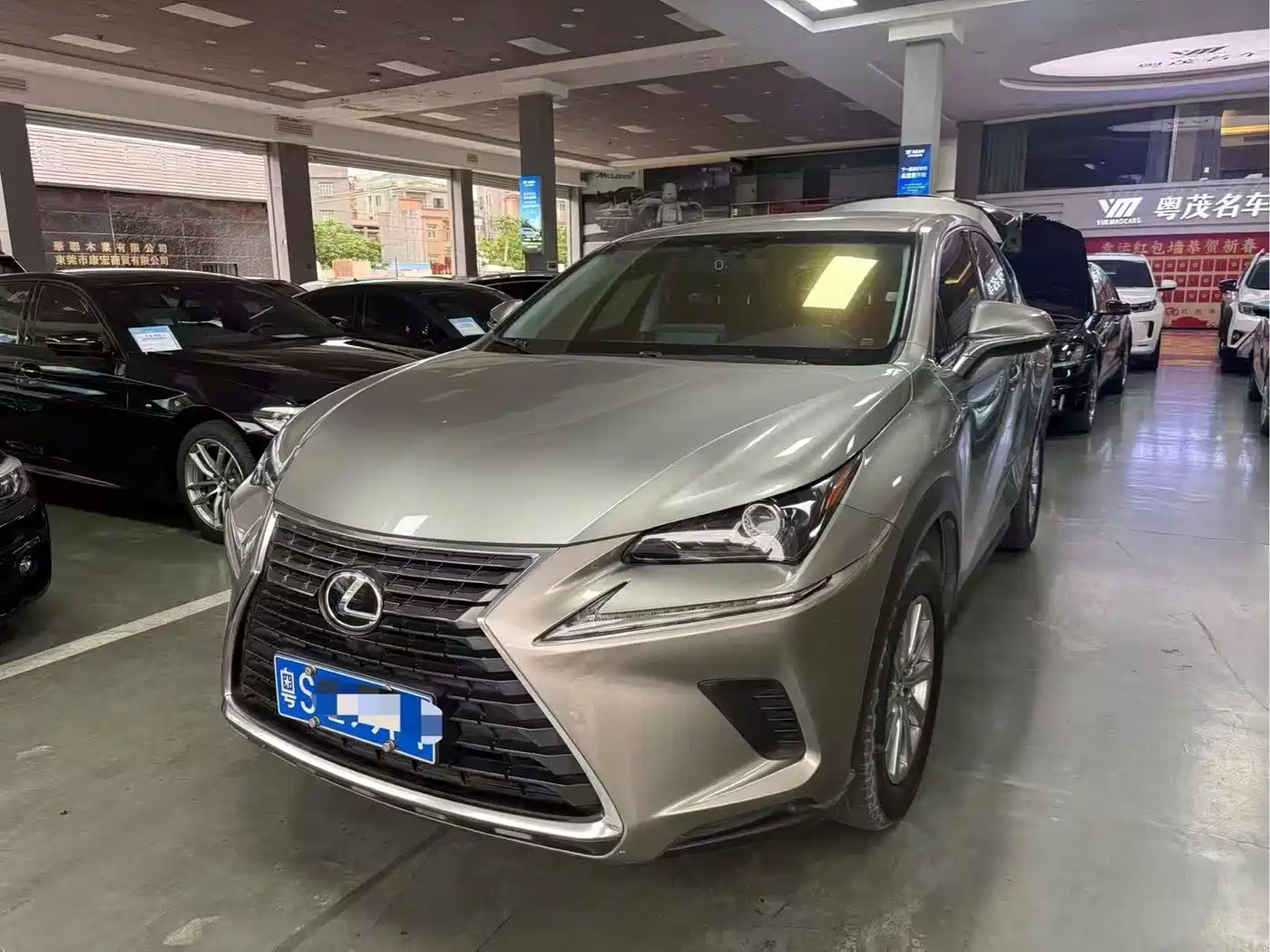 LEXUS NX