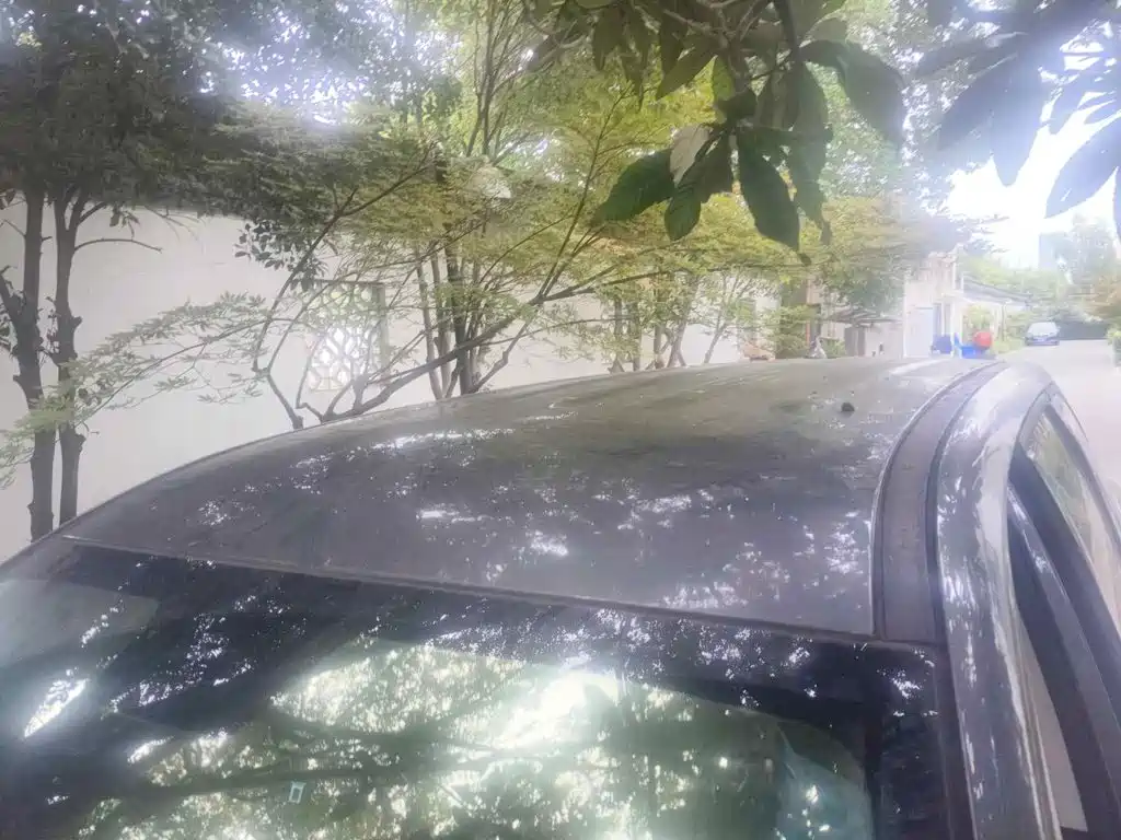 Changan Oshan X7 PLUS 2022 2022 1.5T Blue Whale Edition Auto Luxury