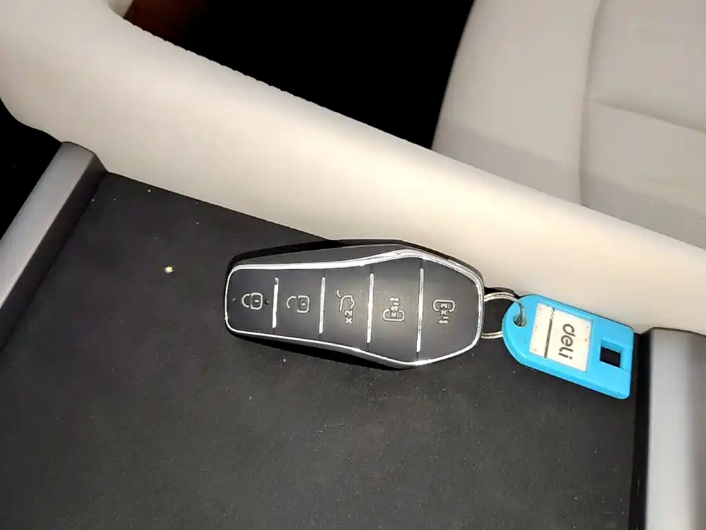 BYD Xia 2025 2025 DM-i 1.5T 180km Surpass Edition