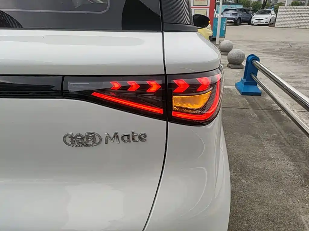 Cowin October 2026 2025 Model Mate 300km Wave Rider Edition