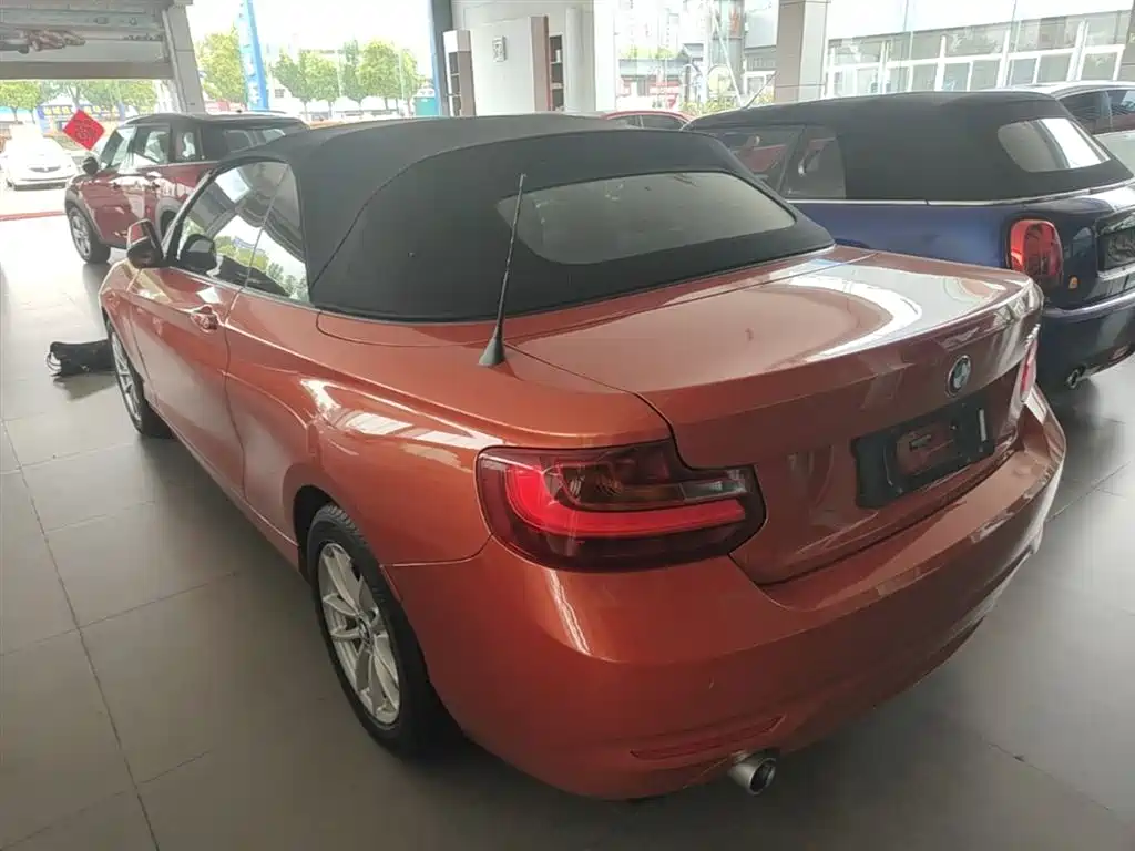 BMW 2 Series (Import) 2015 218i Convertible Coupe фото 5