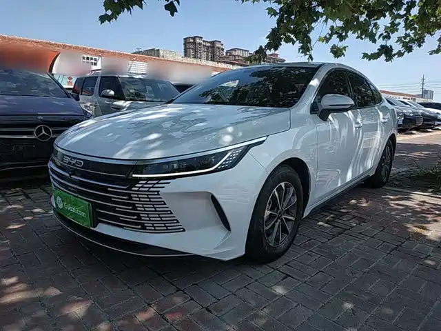 BYD Destroyer 05 2024