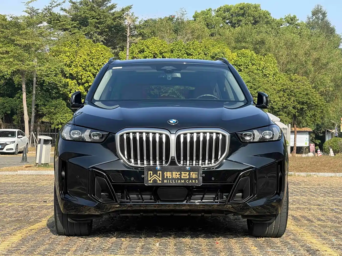 BMW X5 2023 xDrive 30Li Premium M Sport Black Night Package фото 2