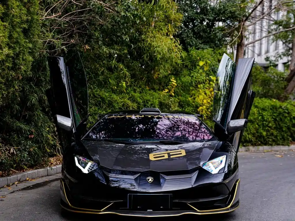 Lamborghini Aventador 2019 2019 Aventador SVJ