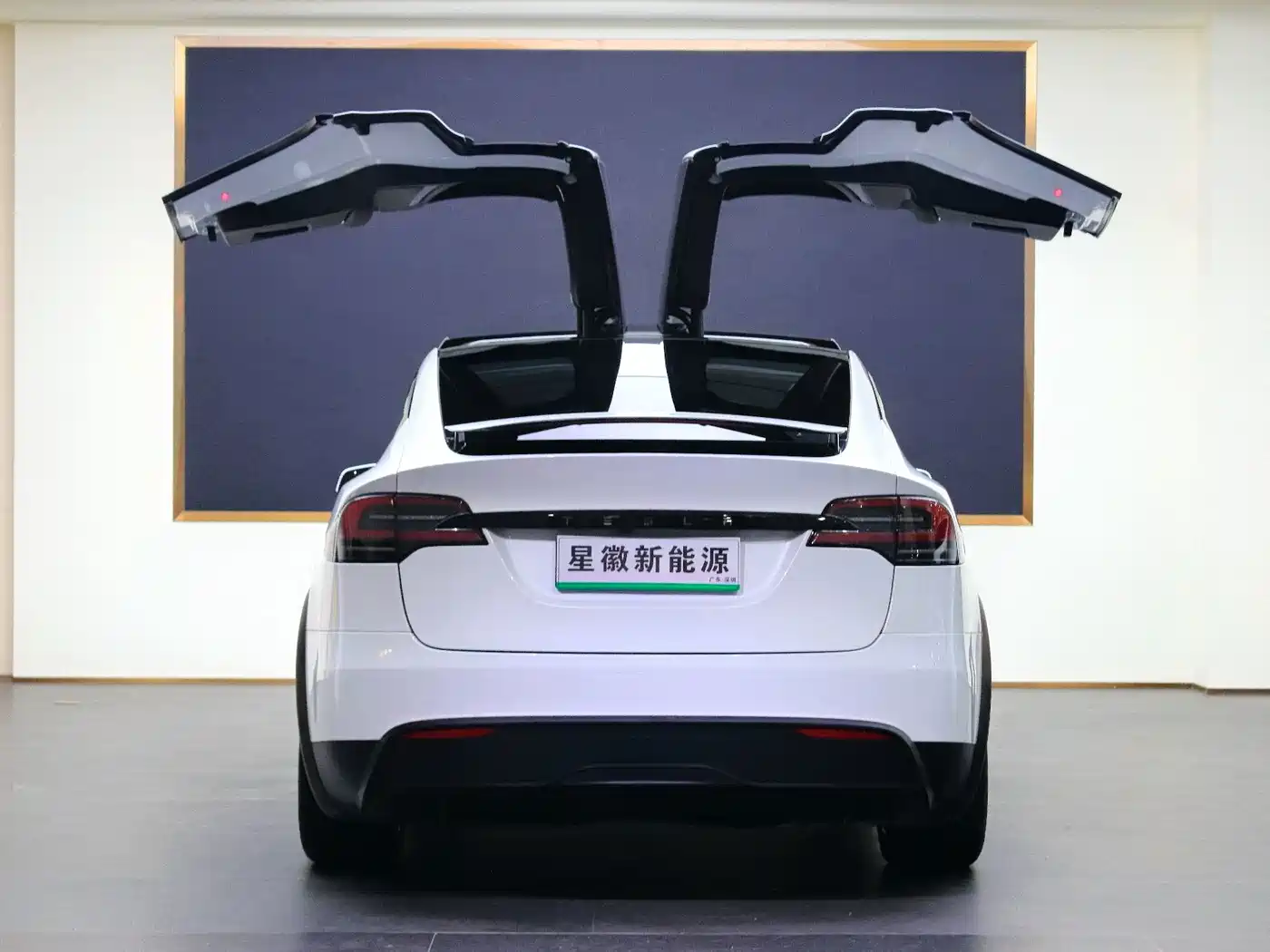 Tesla Model X 2023 2023 Dual Motor All-Wheel Drive Edition