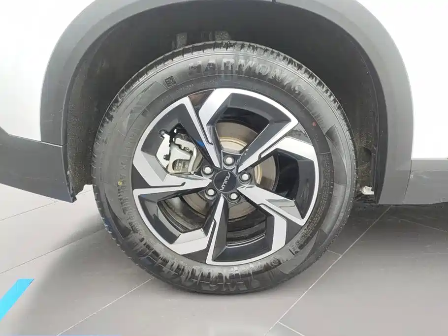 Фото 6 - Dongfeng Aeolus Dongfeng Fengshen L7