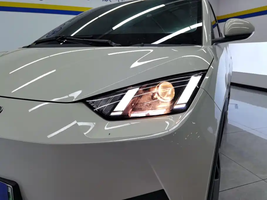 BYD Seagull 2026 2025 Smart Drive Edition 305km Vitality Version