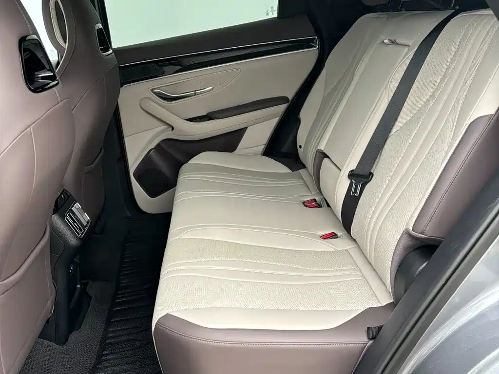 BYD SONGJIANG NEW ENERGY