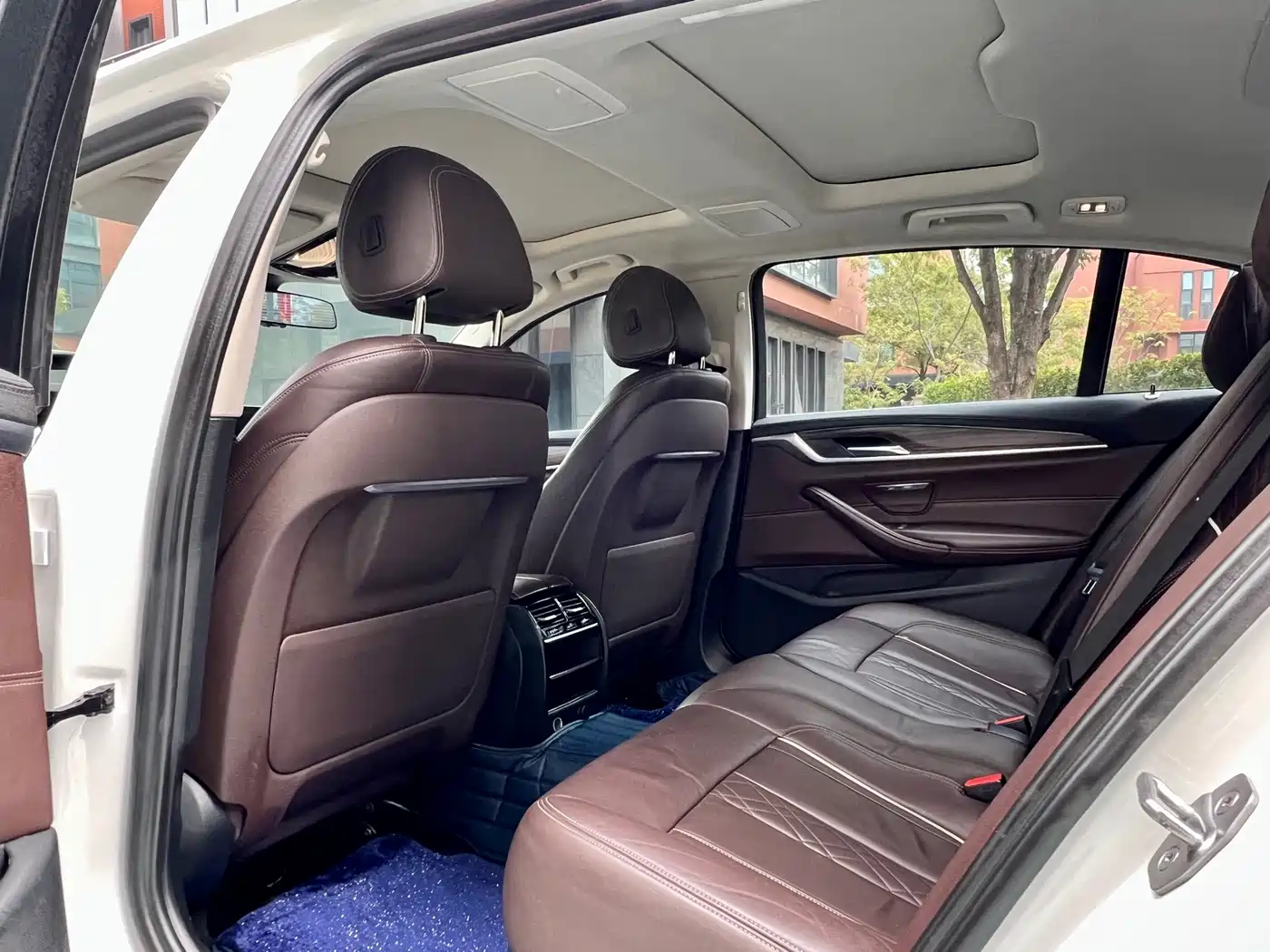 BMW 5 Series 2019 530Li Leading Luxury Package фото 10