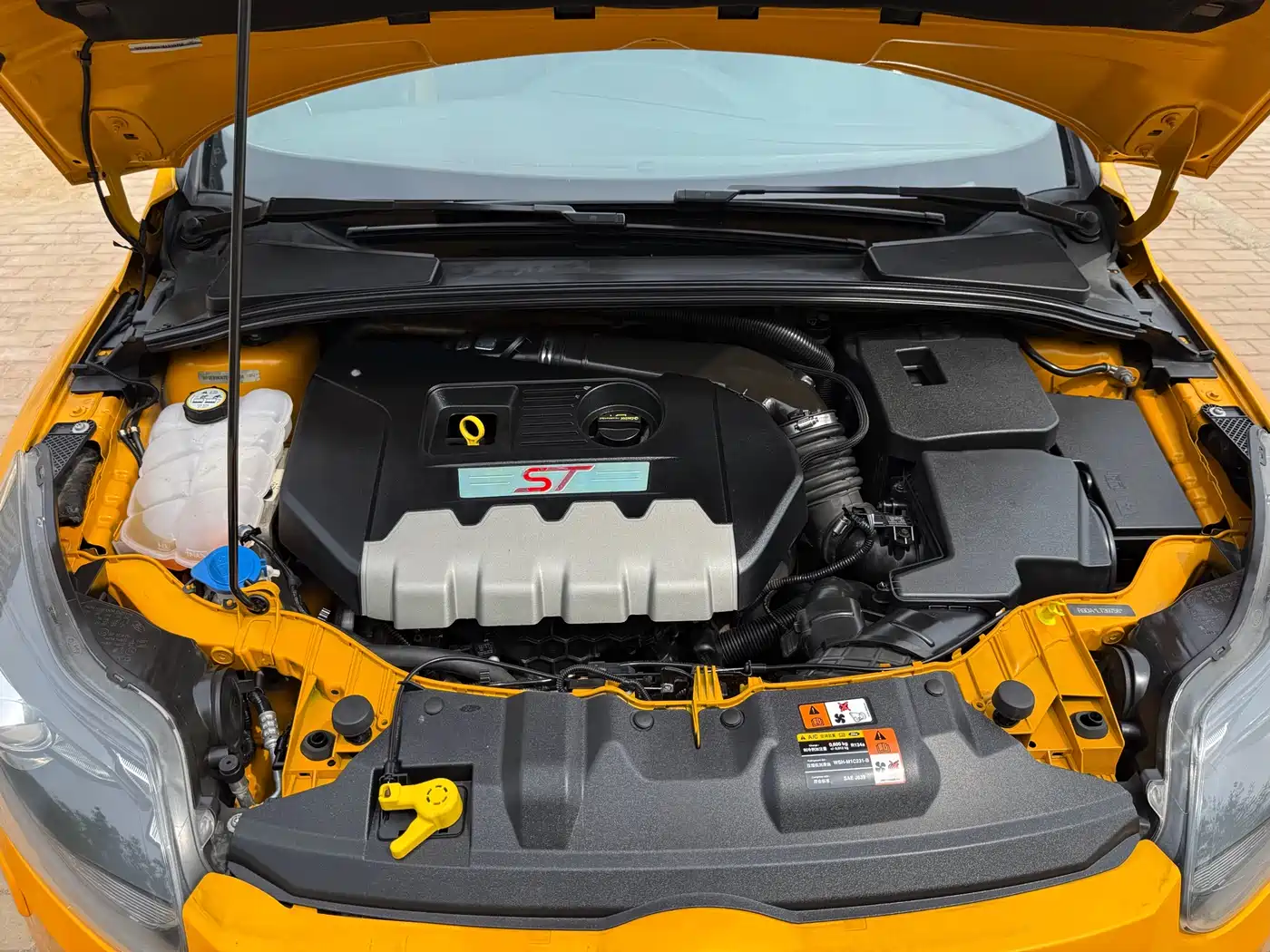 Ford Focus (Import) 2014 2013 2.0T ST Orange Edition