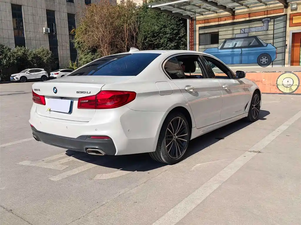 BMW 5 Series 2020 530Li Leading M Sport Package фото 20