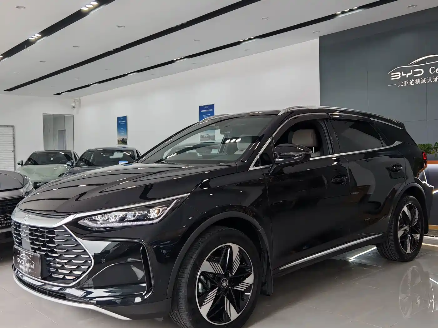 BYD Tang New Energy 2024 — пригон из Китая