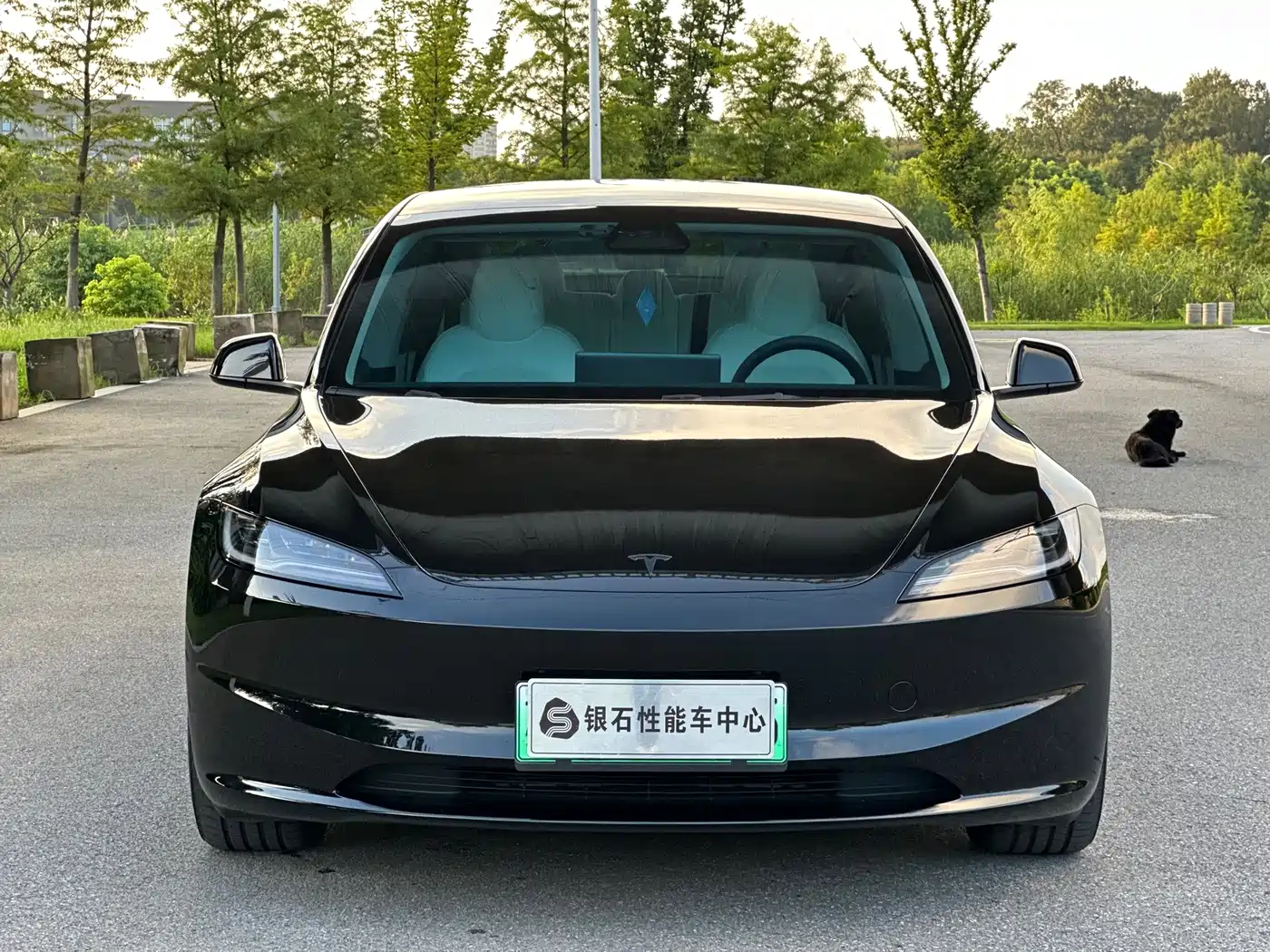 Tesla Model 3 2026 2025 Model Rear-Wheel Drive Edition
