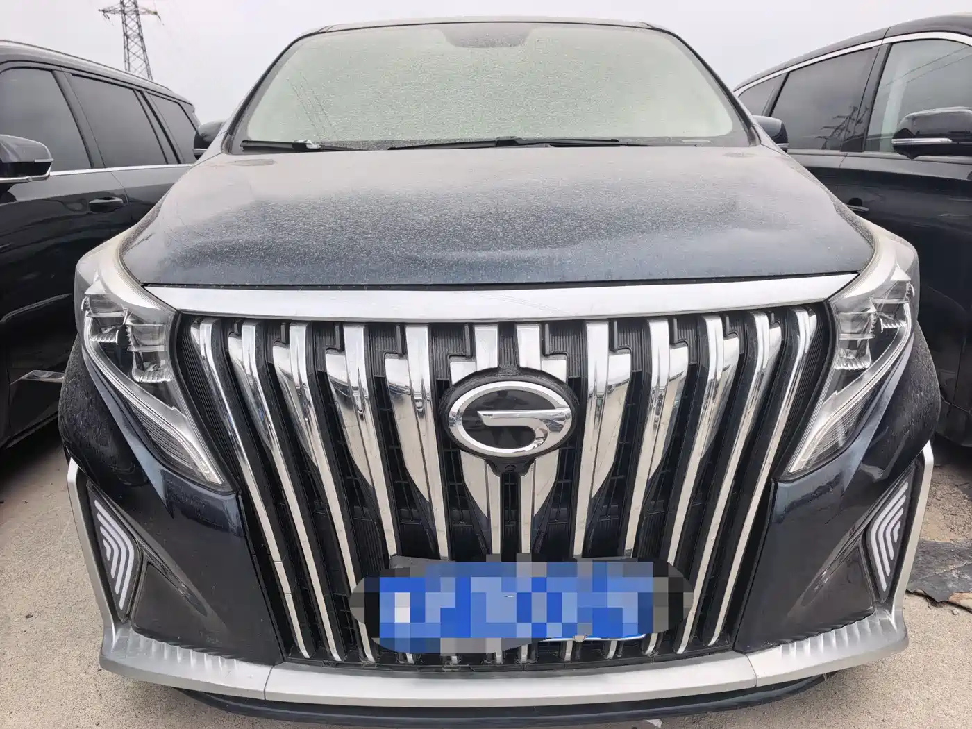 GAC Trumpchi Trumpchi M8 2020 390T Prestige фото 2