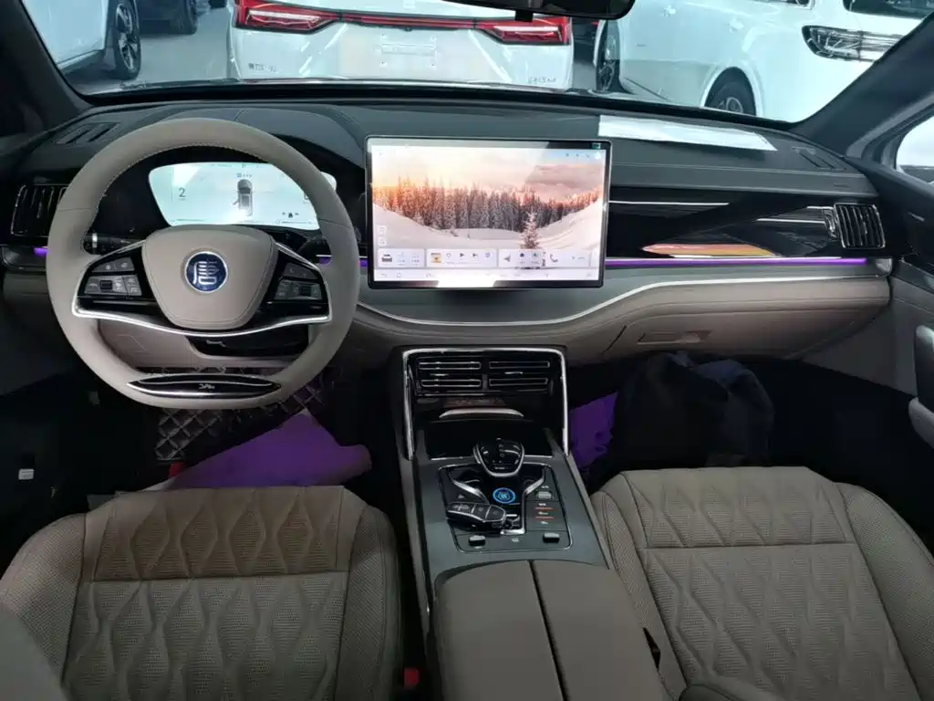 BYD Tang New Energy 2024 2024 DM-i Honor Edition 112KM Premium