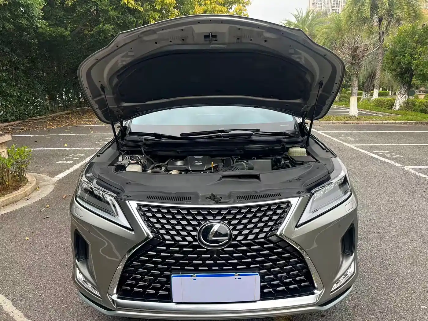 LEXUS RX
