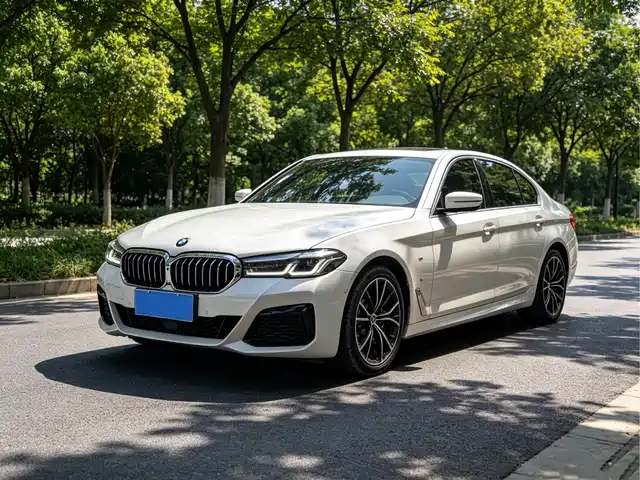 BMW 5 Series 2023