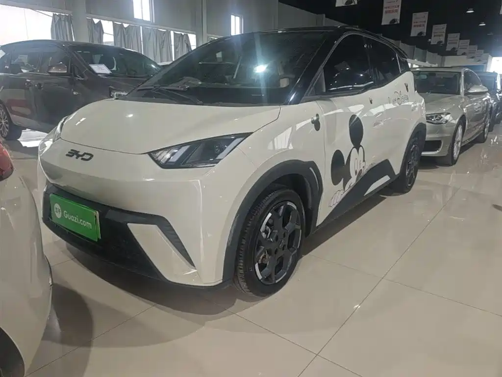 BYD Seagull 2025 305km Freedom