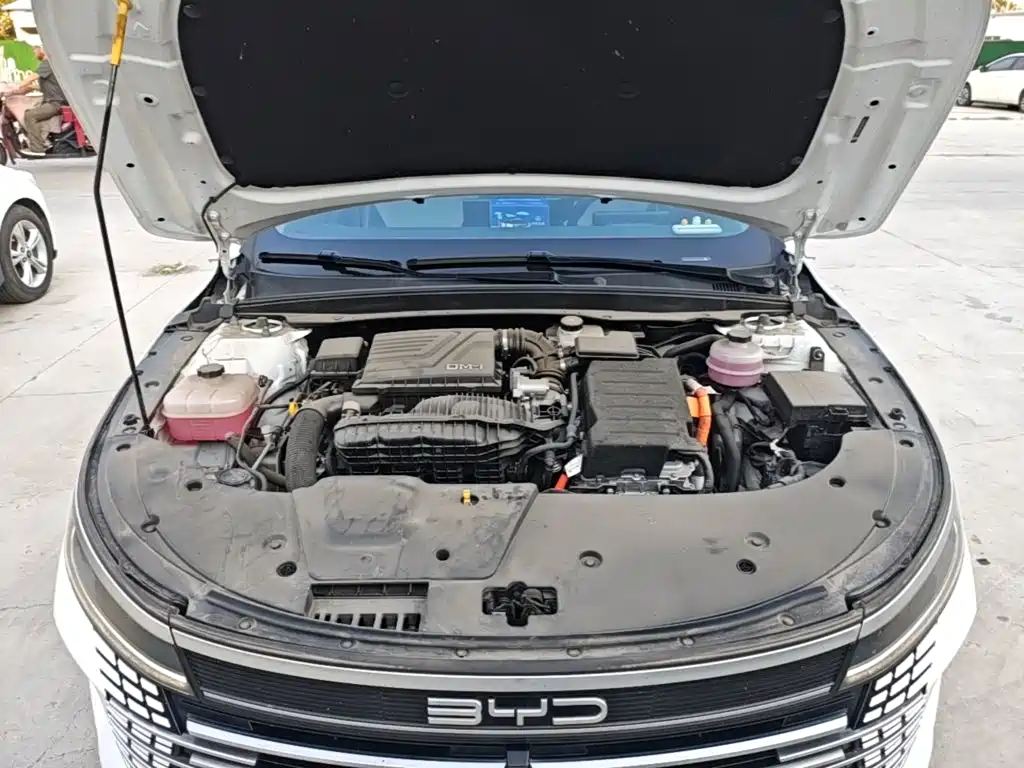 BYD Destroyer 05 2025 2024 Glory Edition DM-i 55KM Luxury