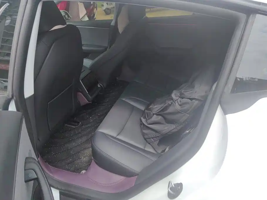 Tesla Model 3 2025 2025 Model Year Facelift Rear-Wheel Drive