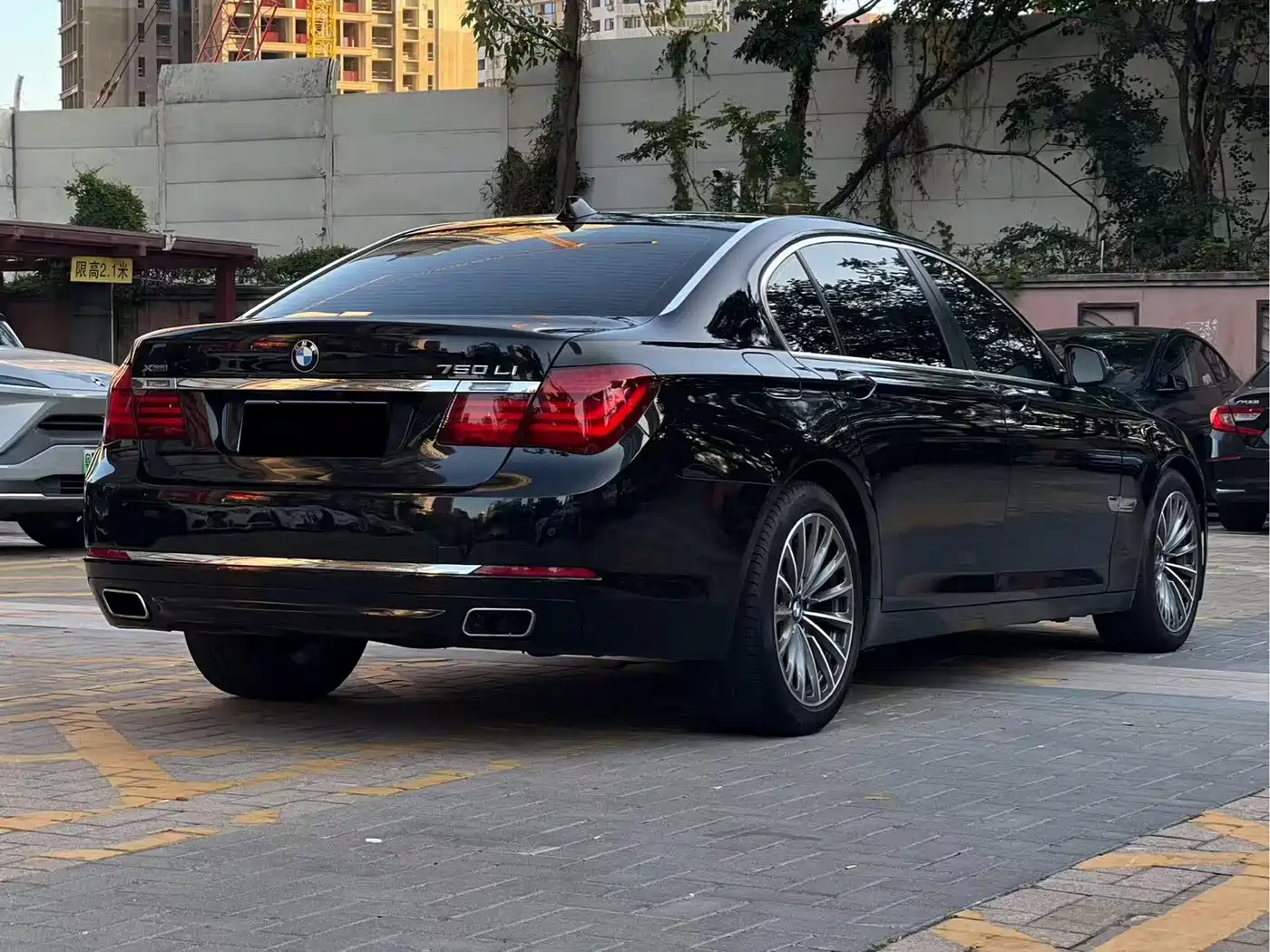 BMW 7 Series 2013 750Li xDrive фото 11