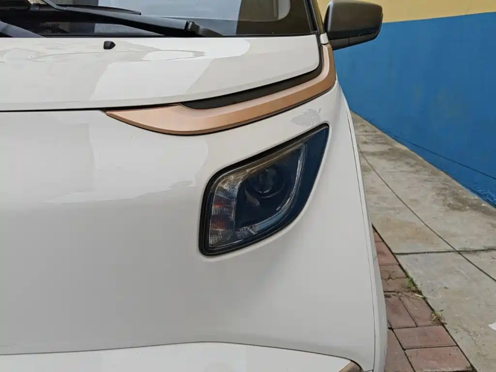 Baojun E200 2021 2020 305KM Smart Edition