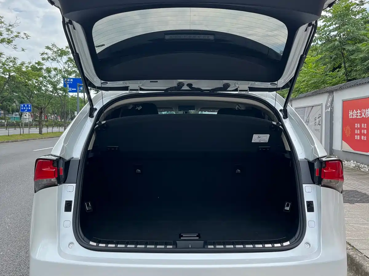 Фото 13 - Lexus NX