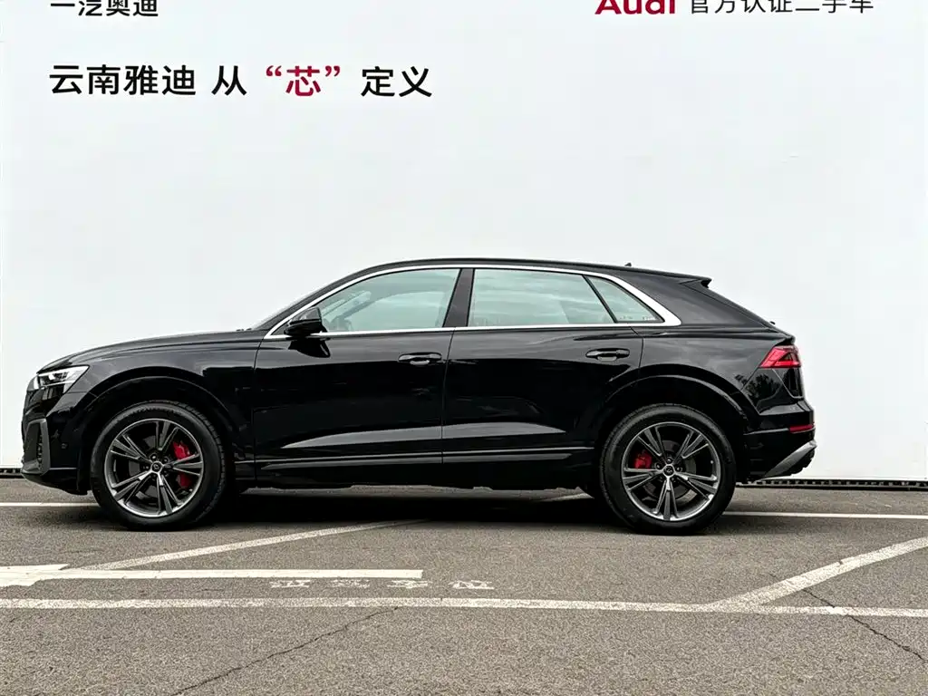 Audi Q8 2025 2024 55 TFSI Luxury Sport