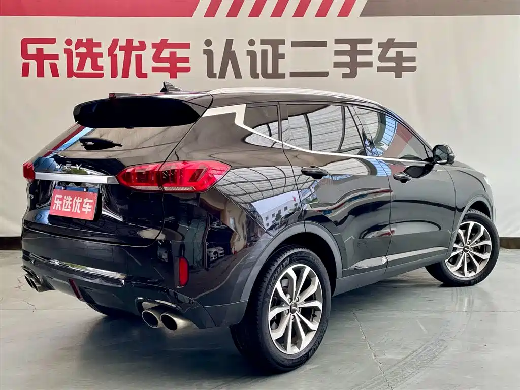 WEI PAI WEI BRAND VV6