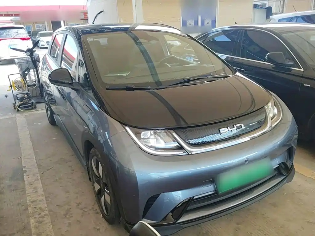 Photo 4 - BYD Dolphin