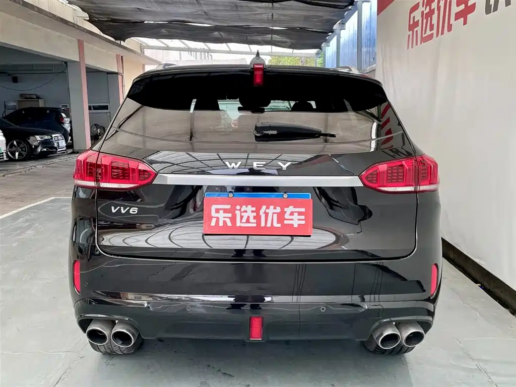 WEI PAI WEI BRAND VV6