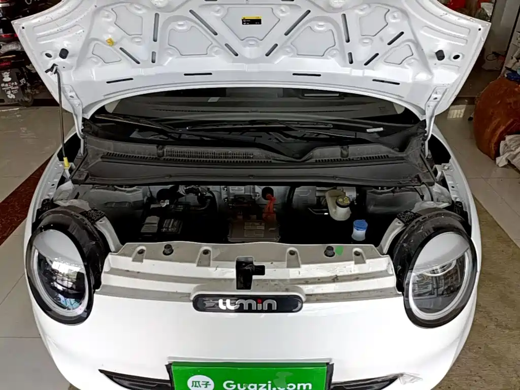  Changan Qiyuan Changan Lumin 2025 205km Fragrant Infusion Edition 20