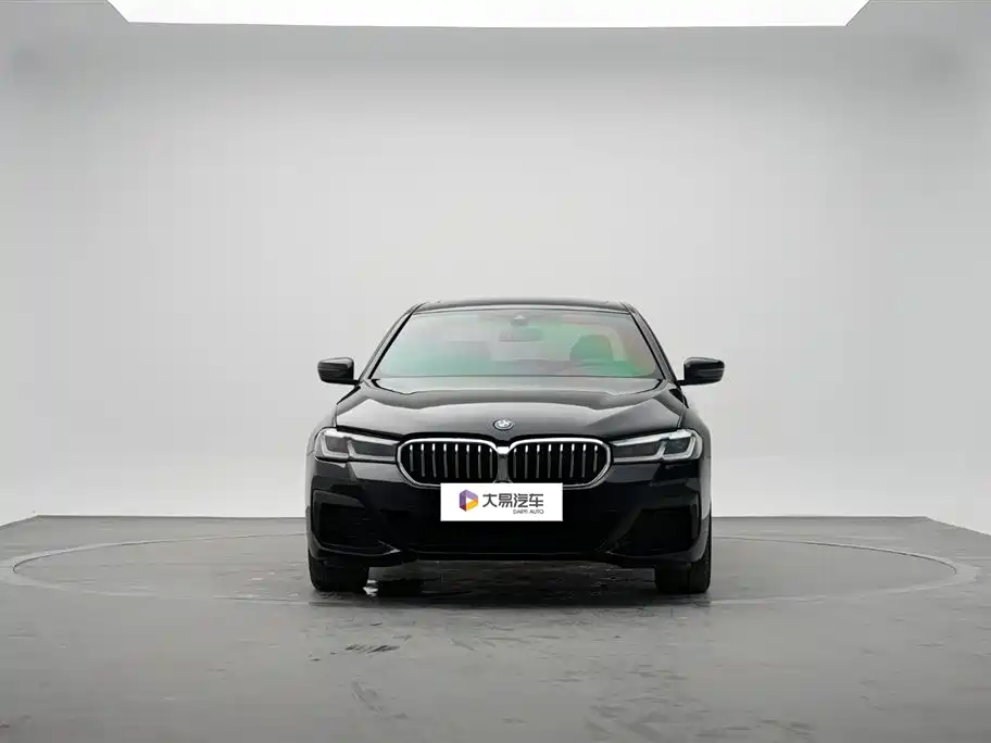 BMW 5 SERIES NEW ENERGY
